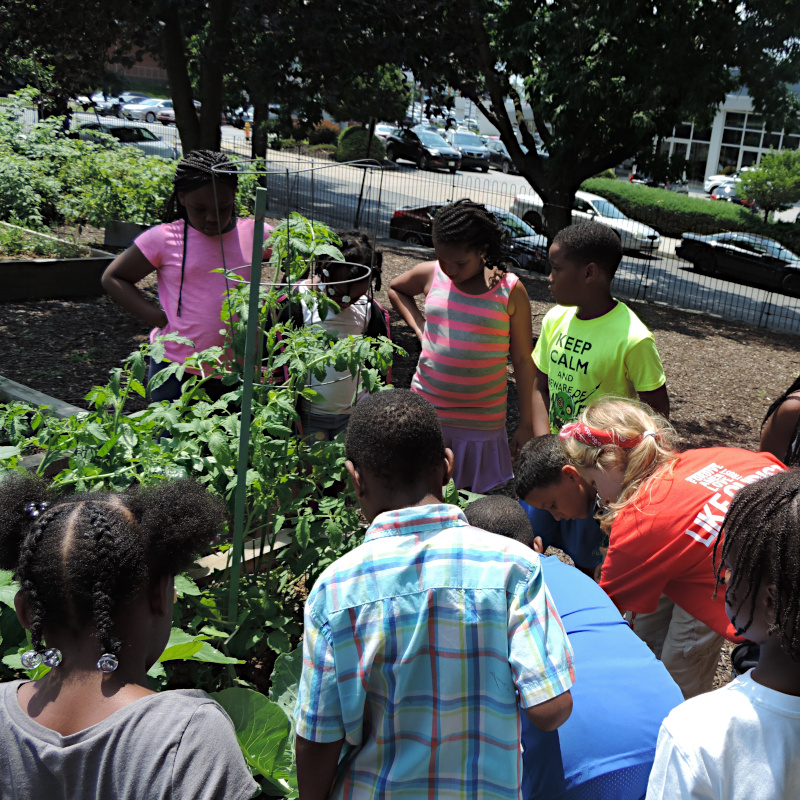 Community Garden Education